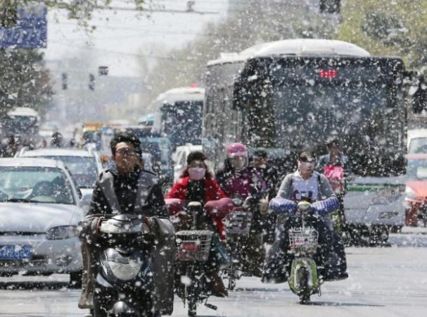 保定消防工程公司：楊絮紛飛除了防病，更要防火